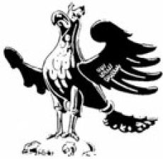 Adler1