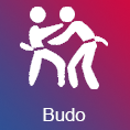 Budo