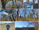 24 misburger volkslauf 20210317
