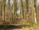25misburger volkslauf 16 20220316