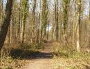 25misburger volkslauf 17 20220316