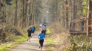 25misburger volkslauf 26 20220316