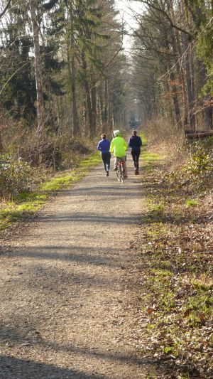 25misburger volkslauf 28 20220316