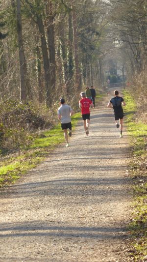 25misburger volkslauf 29 20220316