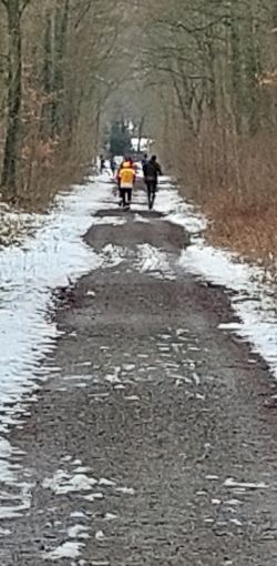 26 misburger volkslauf 5 20230314