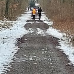 26 misburger volkslauf 6 20230314
