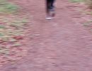 20260419km000041