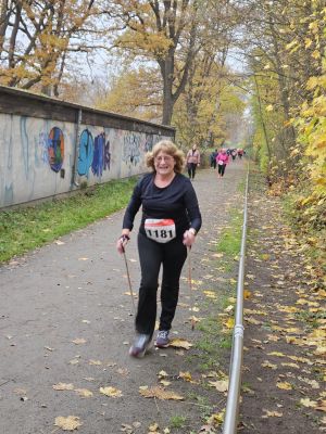 hermann loehns lauf november 2025